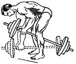 spina2.GIF (3714 bytes)